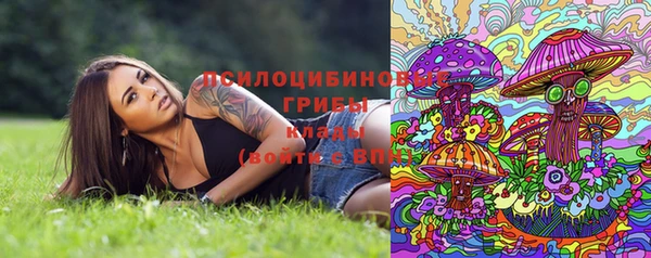 соль ск Аркадак