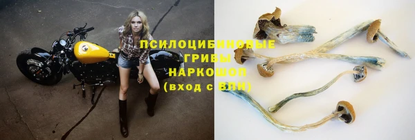 трава Арсеньев