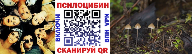 продажа наркотиков  Сураж  Псилоцибиновые грибы мухоморы 