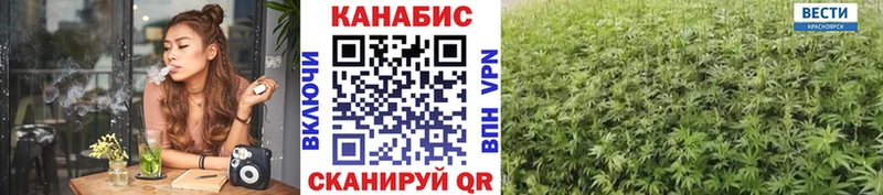 Шишки марихуана тримм  Сураж 