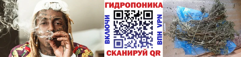 Бошки марихуана план Сураж